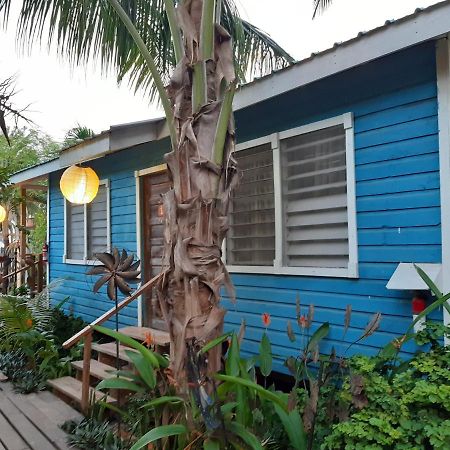 The Funky Dodo Backpackers Hostel Хопкінс Екстер'єр фото